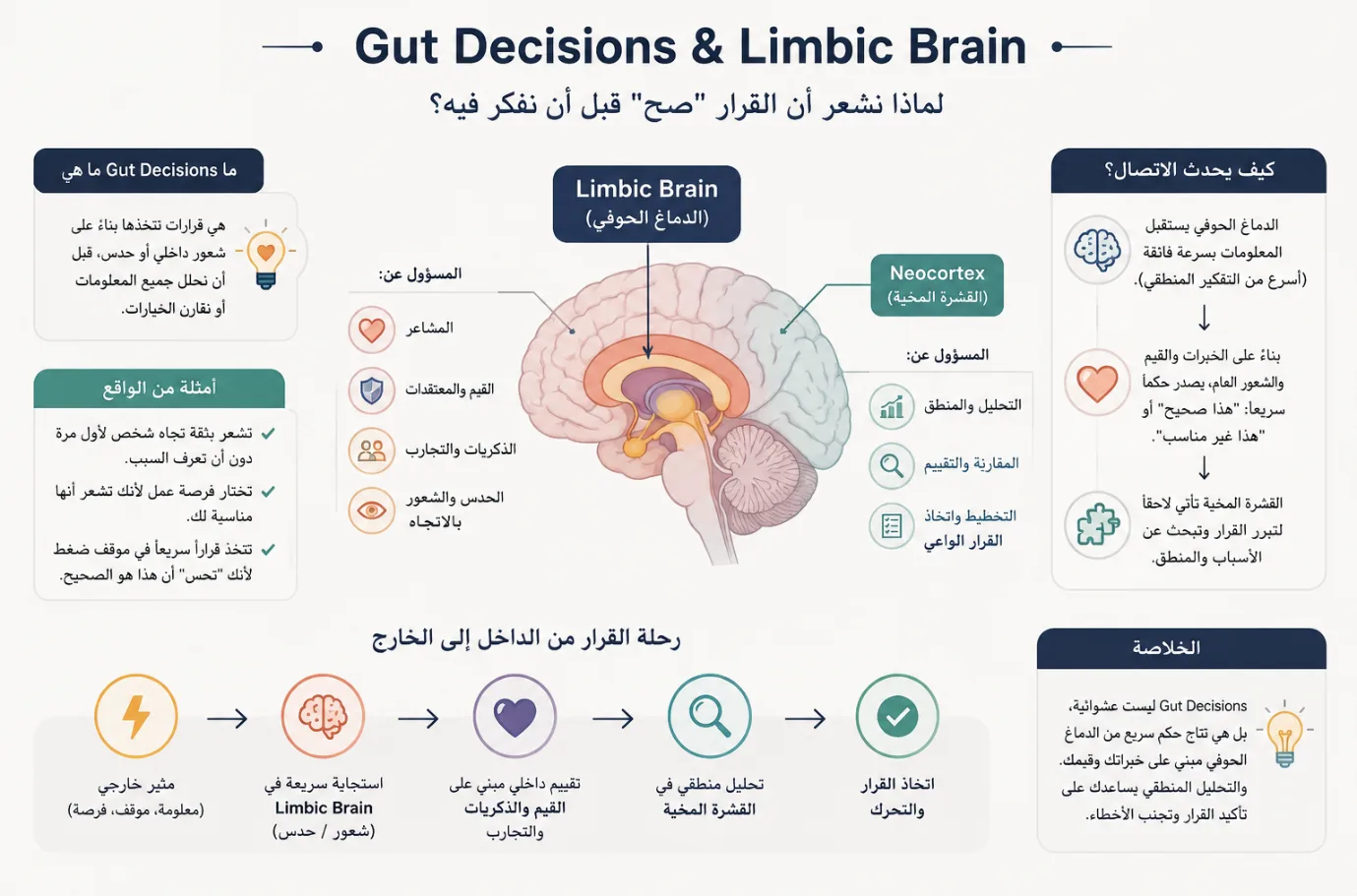 القرارات الحدسية والدماغ الحوفي