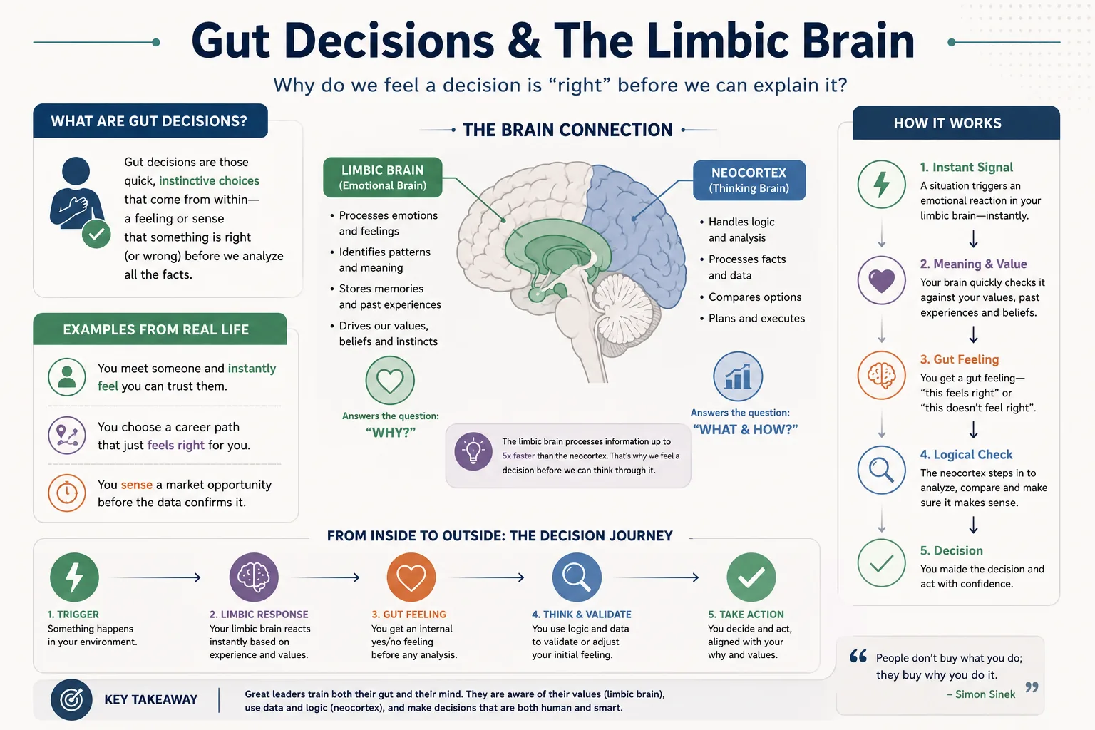 Gut Decisions and the Limbic Brain